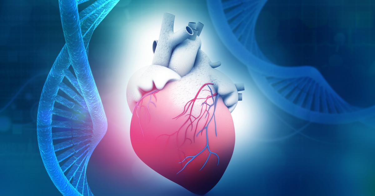 Mercola’s High-Throughput Screening: A Game-Changer for Heart Disease Treatment